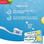 Dabur Herbal Whitening Toothpaste (150g), How to use?