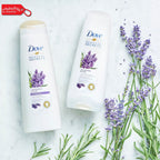 Dove shampoo bottles with lavender flowers on a light background