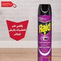 Raid insect killer spray can on a wooden surface with Arabic text and a red logo.